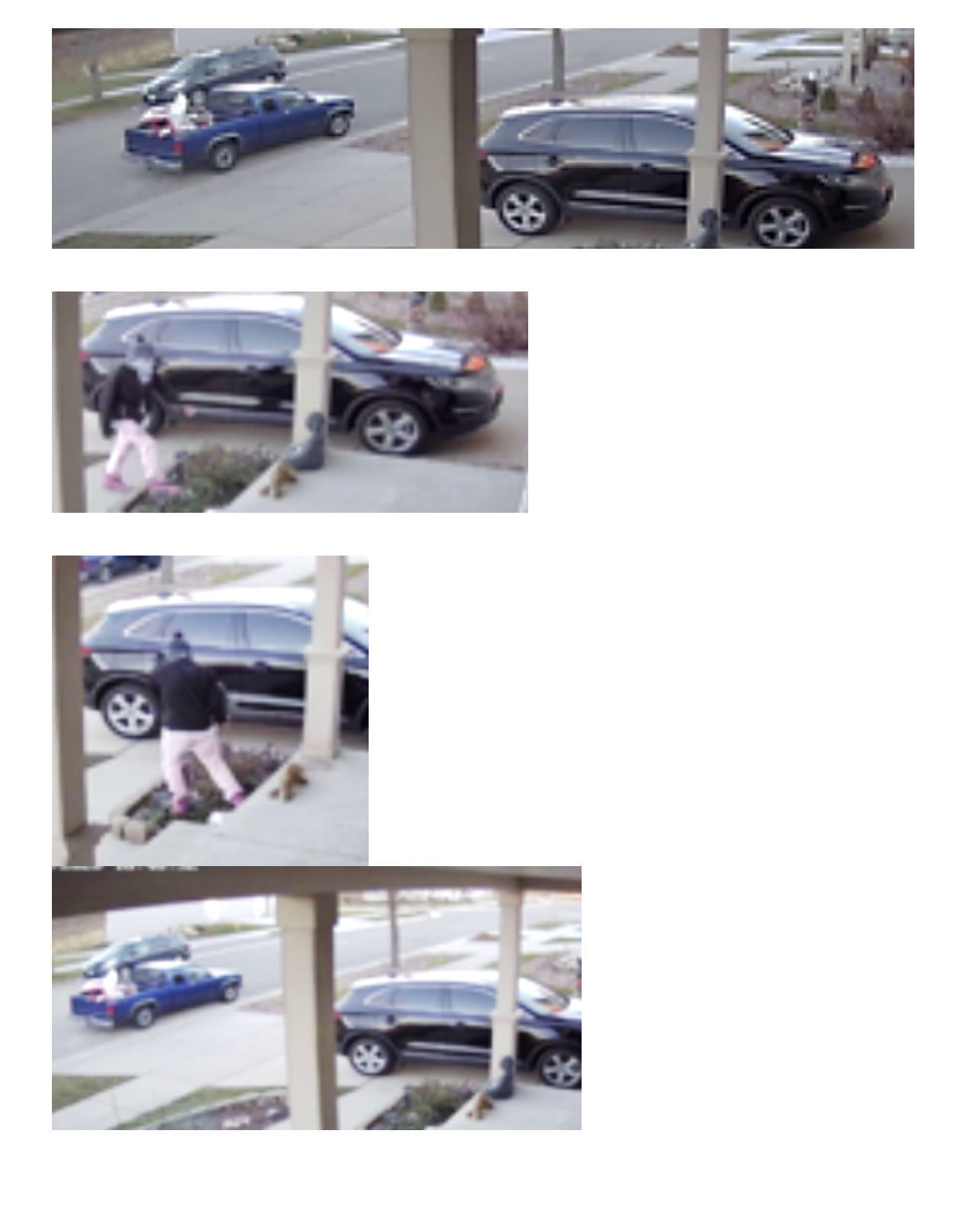 Madison police release pictures of Far East Side ‘porch pirates’